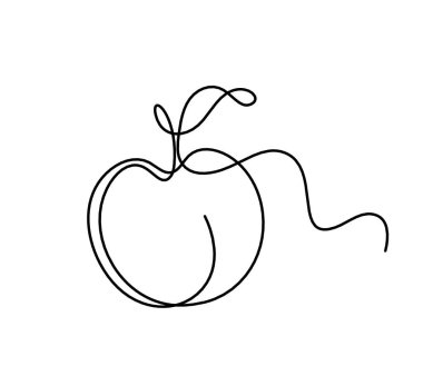 Beyaz arkaplanda kayısı (şeftali, nektarin, erik) çizimi