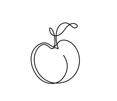 Beyaz arkaplanda kayısı (şeftali, nektarin, erik) çizimi