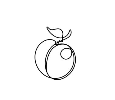 Beyaz arkaplanda kayısı (şeftali, nektarin, erik) çizimi