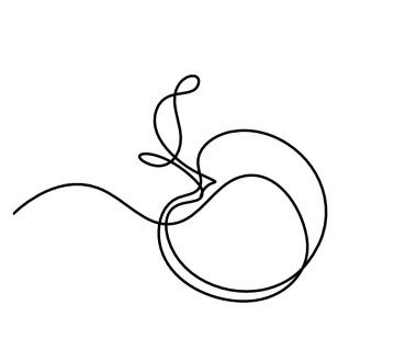 Beyaz arkaplanda kayısı (şeftali, nektarin, erik) çizimi