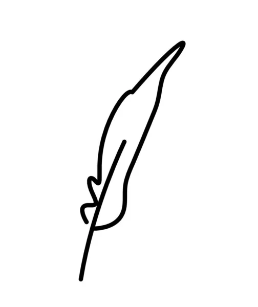 Silueta Pluma Abstracta Como Dibujo Línea Sobre Blanco — Vector de stock