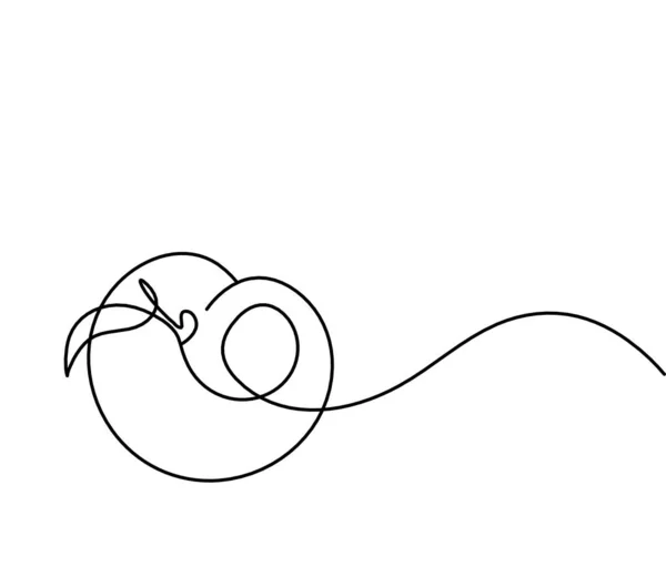 Малюнок Лінії Абрикоса Персик Нектар Слива Білому Тлі — стоковий вектор