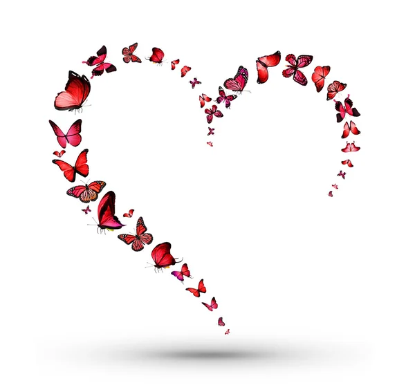 Heart with red butterflies — Stock Photo, Image