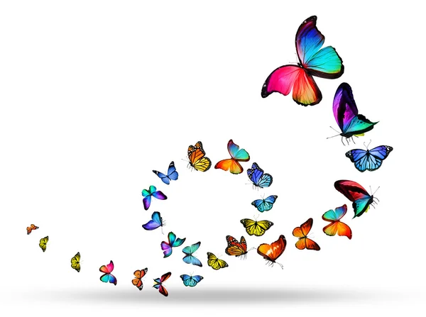 Pętla kolorowe motyle — Zdjęcie stockowe