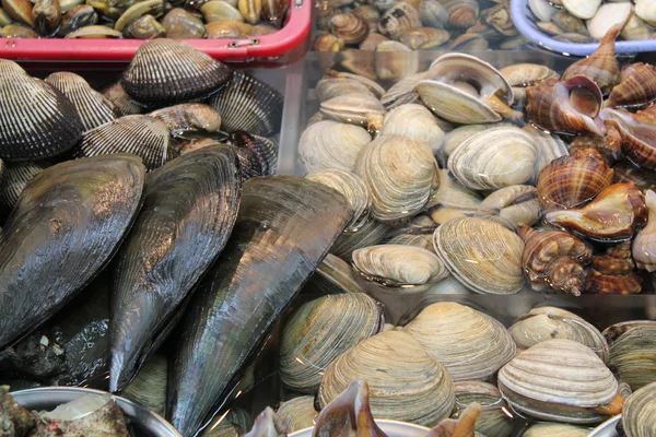 Busan, Mercado de pescado —  Fotos de Stock