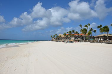 White sand beach of Aruba clipart