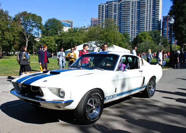 Mustang vintage ford shelby cobra gt 500 — Fotografia de Stock