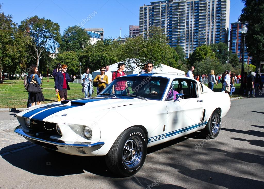 cobra gt