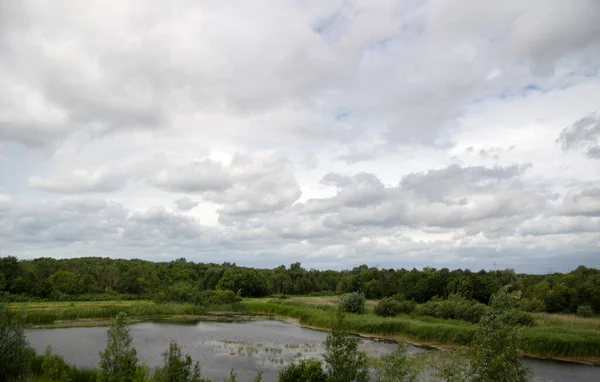 Маленькое Озеро Окруженное Деревьями Димена Нидерланды 2020 — стоковое фото