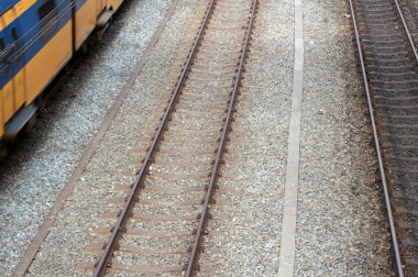 Zaandam Tren İstasyonu 'ndaki Yan Görünüm Treni Hollanda 23-10-2019