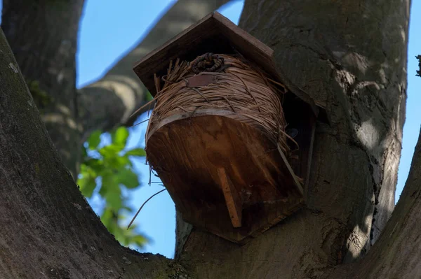 Close Holzvogelhaus Amsterdam Niederlande Mai 2020 — Stockfoto