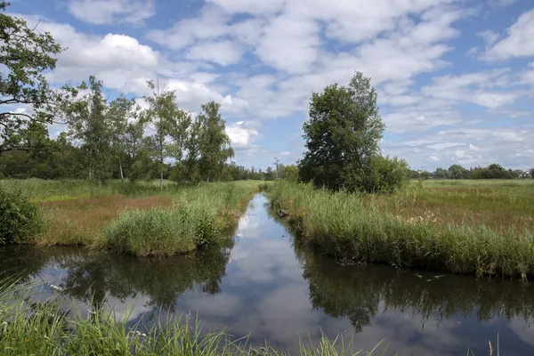 Ditch Amsterdamse Bos Amstelveen Ολλανδία 2020 — Φωτογραφία Αρχείου