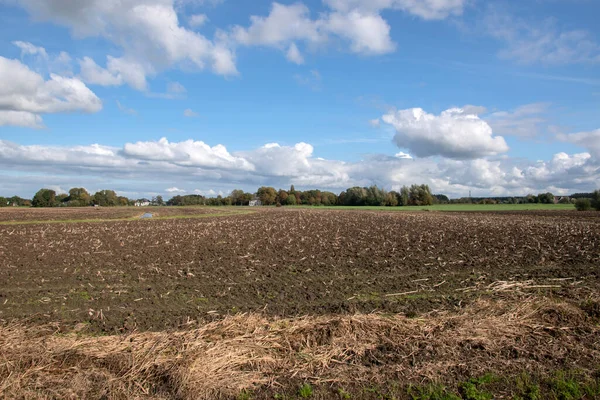 Tierras Agrícolas Vacías Abcoude Países Bajos 2020 — Foto de Stock