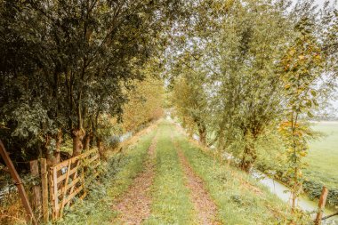 Hollanda Abcoude 'da bir çiftlikte kapı ve şerit