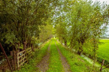 Hollanda Abcoude 'da bir çiftlikte kapı ve şerit