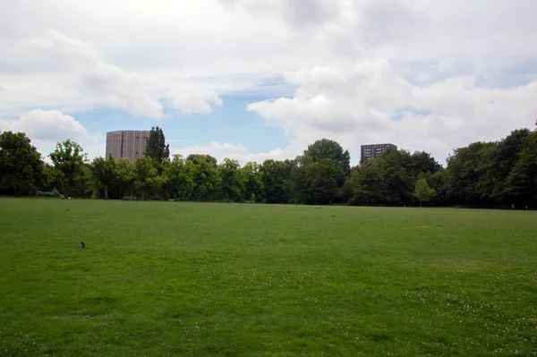 Grassfield Flevopark Park Amsterdam Paesi Bassi 2020 — Foto Stock