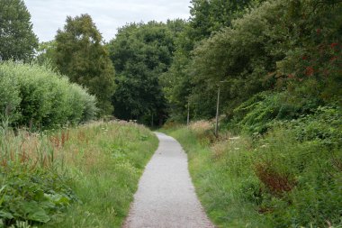 Diemen 'de Yürüyüş Yolu 23-7-2020