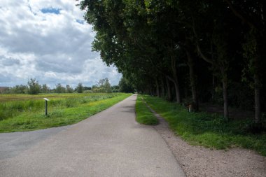 Amsterdamse Bos Amstelveen 'de Yürüyüş Yolu 28-7-2020