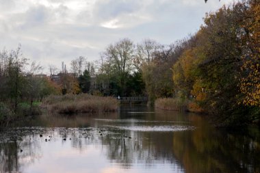 Amsterdam Frankendael Parkı 'ndaki Gölet Hollanda 17-11-2020