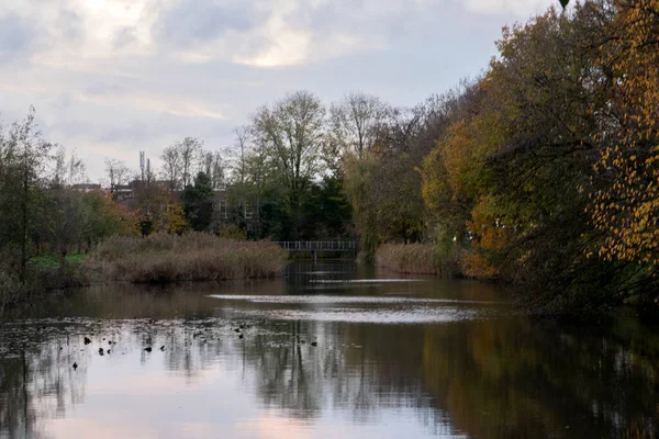 Teich Frankendael Park Amsterdam Niederlande 2020 — Stockfoto