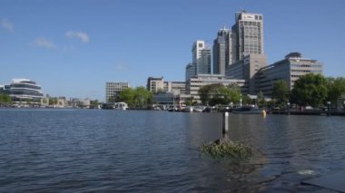 25 Mayıs 2020 'de Amsterdam Somerlust Park' taki Avrasyalı Kuğunun Yuvası