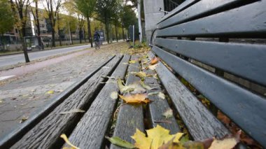 Hollanda 2019 'da Bir Benç Amterdam' da Sonbahar Ayrıldı