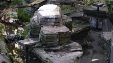 Artis Hayvanat Bahçesindeki Kuş Evi Amsterdam Hollanda 2019