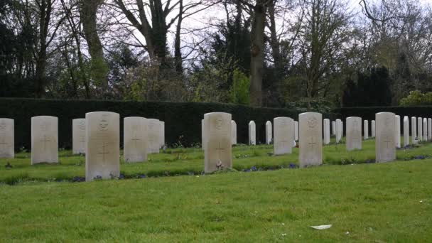 Gros Plan Sur Les Tombes Guerre Commonwealth Cimetière Huîtres Nieuwe — Video