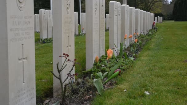 Nahaufnahme Der Commonwealth Kriegsgräber Auf Dem Nieuwe Ooster Friedhof Amsterdam — Stockvideo