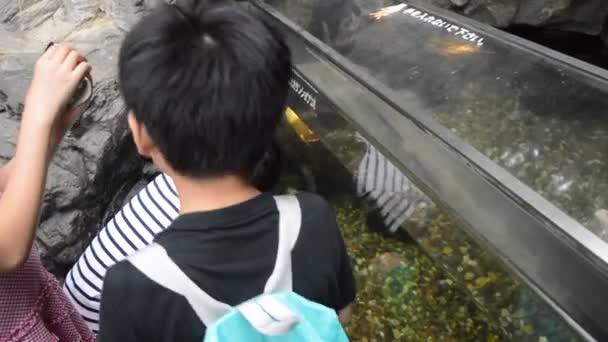 大阪水族館を楽しむ子どもたち Japan 2016 — ストック動画