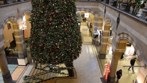 Christmas Tree Magna Plaza Building Amsterdam Netherlands 2019 — Stock video