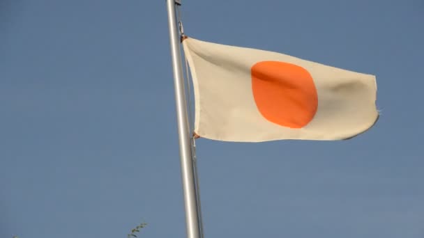 Close Uma Bandeira Japonesa Osaka Japão 2016 — Vídeo de Stock