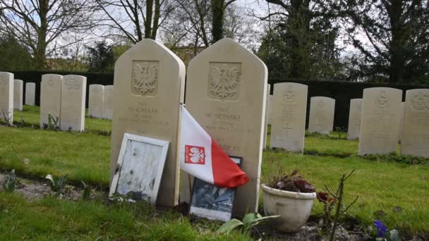 Primer Plano Una Bandera Polaca Tumbas Guerra Commonwealth Cementerio Nieuwe — Vídeo de stock