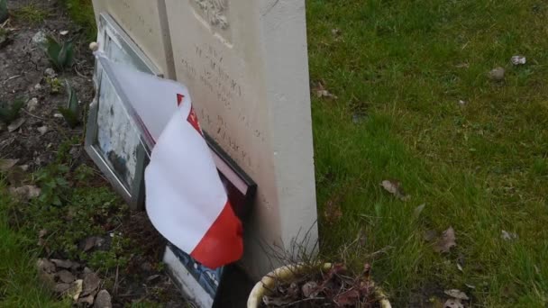 Primer Plano Una Bandera Polaca Tumbas Guerra Commonwealth Cementerio Nieuwe — Vídeos de Stock