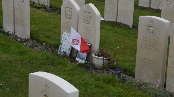 Close Polish Flag Commonwealth War Graves Nieuwe Ooster Graveyard Amsterdam — Stock video