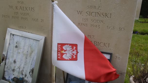 Primer Plano Una Bandera Polaca Tumbas Guerra Commonwealth Cementerio Nieuwe — Vídeo de stock