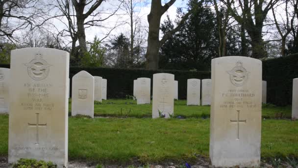 Primer Plano Las Tumbas Guerra Commonwealth Cementerio Nieuwe Ooster Ámsterdam — Vídeo de stock
