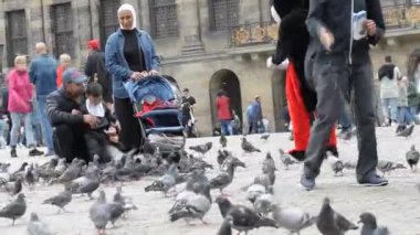 Hollanda 2019 Baraj Meydanı Amsterdam 'da Güvercinleri Besleme