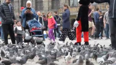 Hollanda 2019 Baraj Meydanı Amsterdam 'da Güvercinleri Besleme