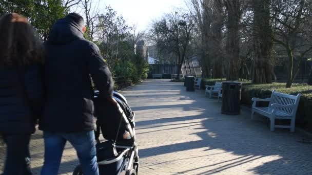 Aile Artis Hayvanat Bahçesinde Yürüyor Amsterdam Kuzey Bölgesi 2020 — Stok video