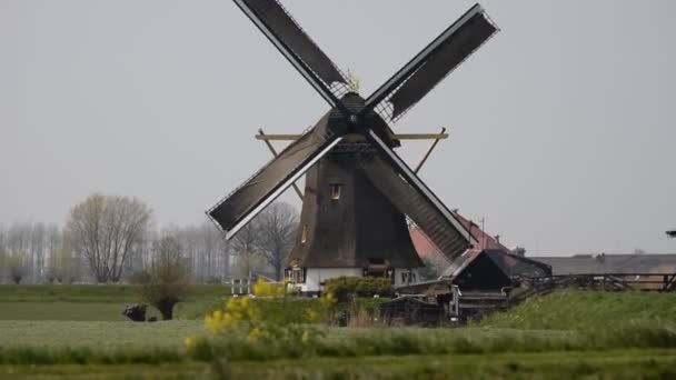 Hoog Groenland Mill Loenersloot Nizozemsko 2019 — Stock video