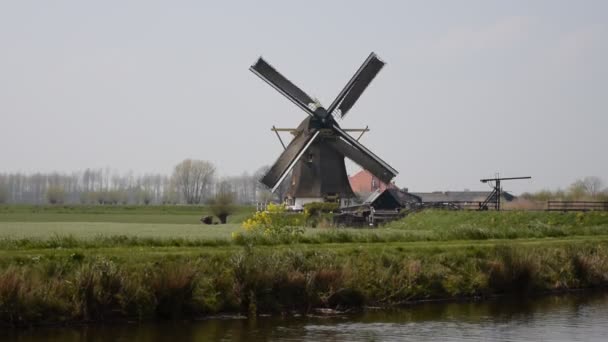 Hoog Groenland Mill Loenersloot Nizozemsko 2019 — Stock video