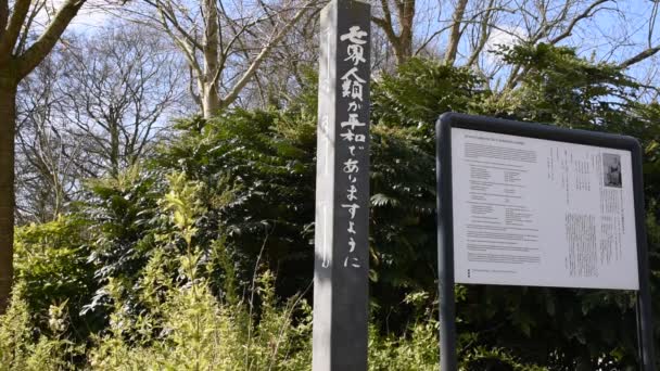 Túmulo Primeira Pessoa Japonesa Morreu Nos Países Baixos Chamado Ookawa — Vídeo de Stock