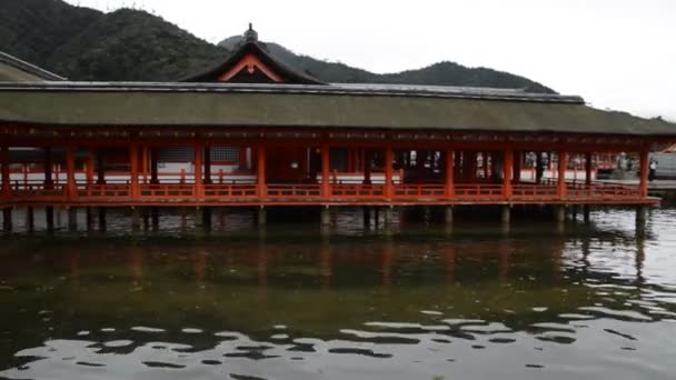Santuario Itsukushima Miyajima Japón 2015 — Vídeos de Stock