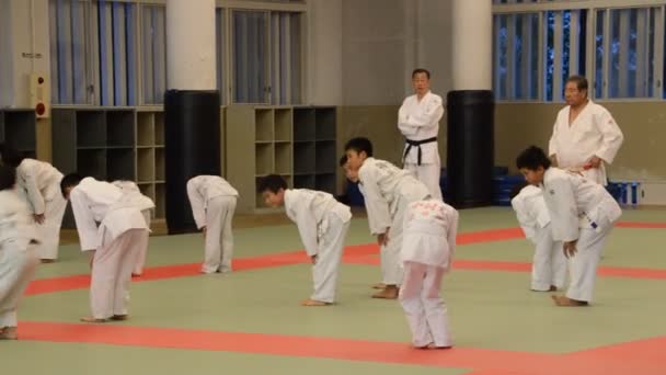 Judoka Training Het Osaka Budo Center Japan 2016 — Stockvideo