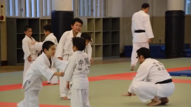 Entrenamiento Judoka Centro Osaka Budo Japón 2016 — Vídeo de stock