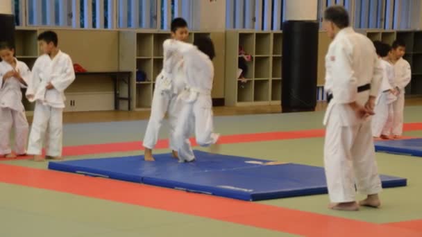 Judoka Training Het Osaka Budo Center Japan 2016 — Stockvideo