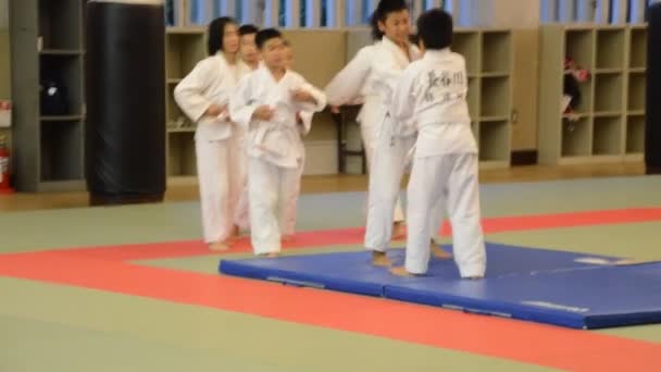 Judoka Training Het Osaka Budo Center Japan 2016 — Stockvideo