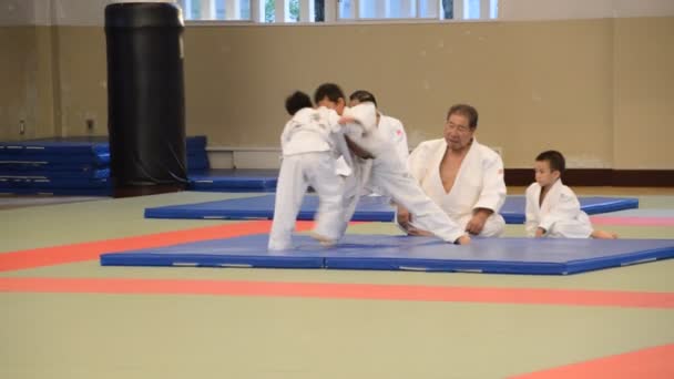 Judoka Training Het Osaka Budo Center Japan 2016 — Stockvideo