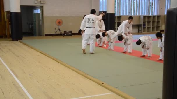 Judoka Training Het Osaka Budo Center Japan 2016 — Stockvideo